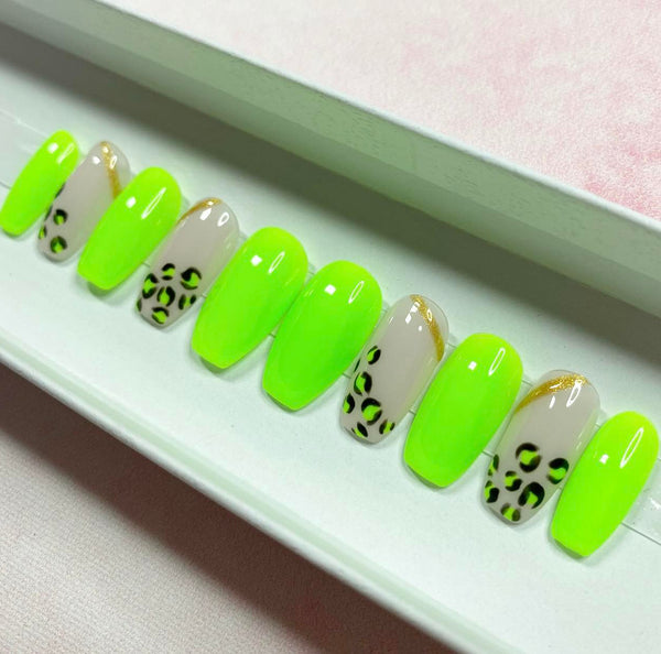 Load image into Gallery viewer, "Wild!"