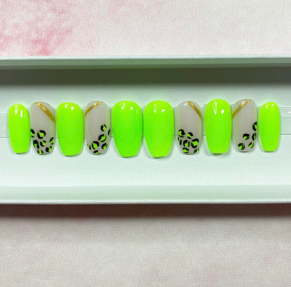 Load image into Gallery viewer, "Wild!"