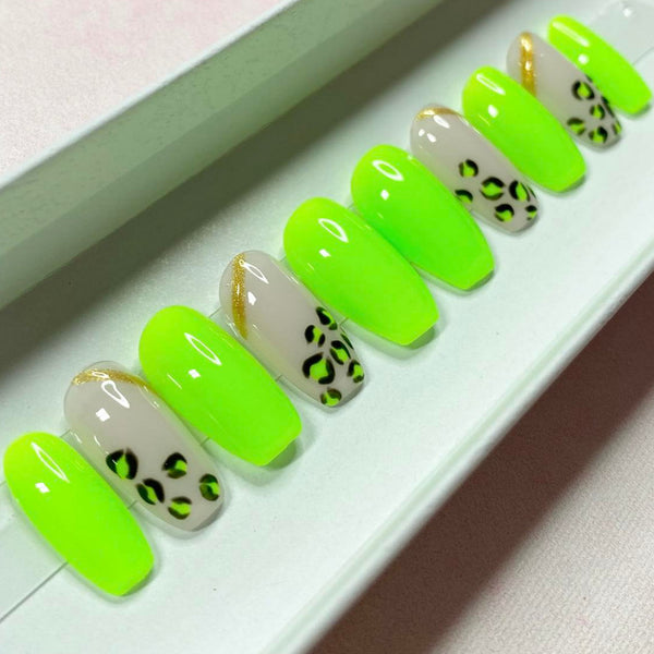 Load image into Gallery viewer, "Wild!"