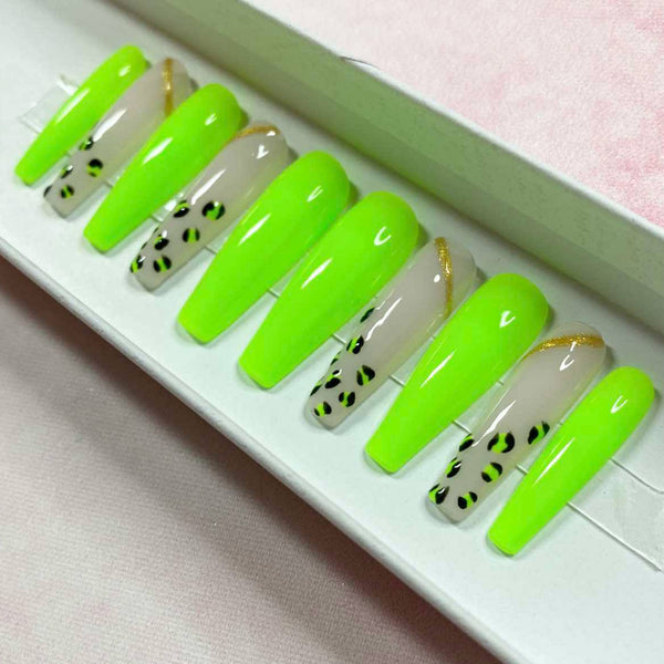 Load image into Gallery viewer, "Wild!"