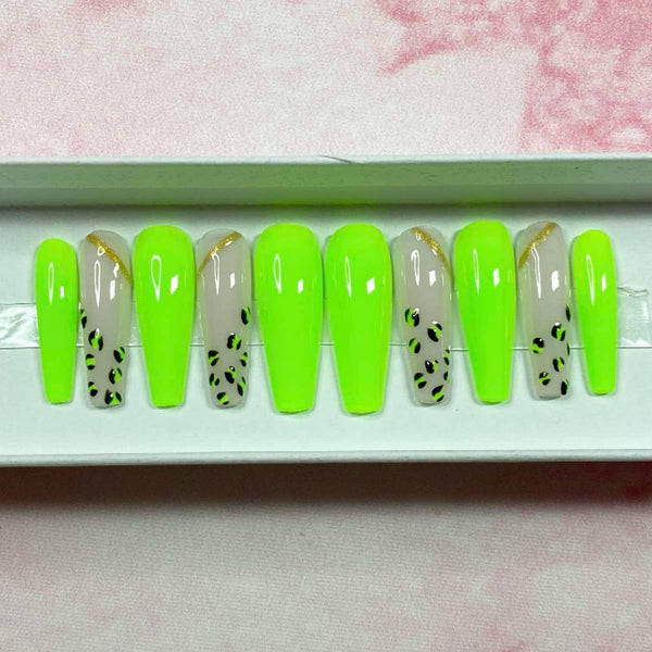 Load image into Gallery viewer, "Wild!"